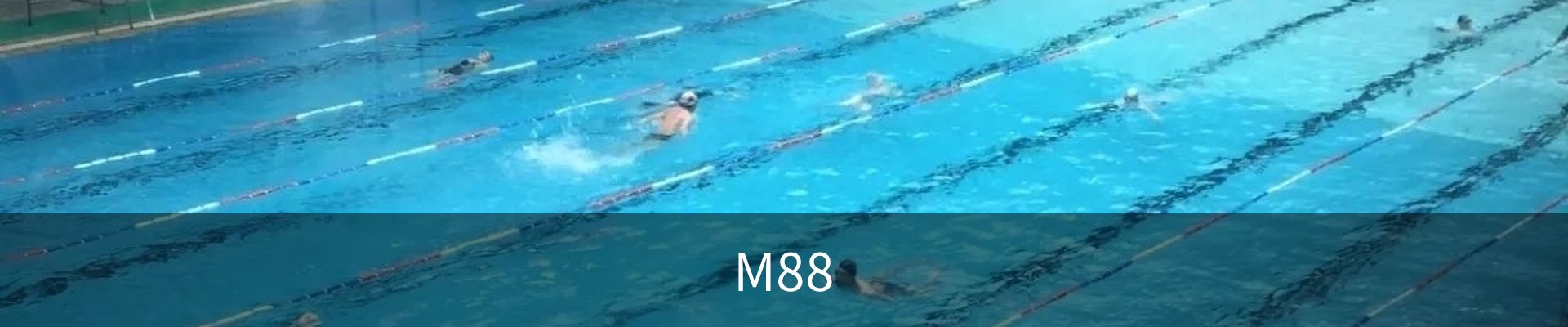 M88(明升)中国官方网站